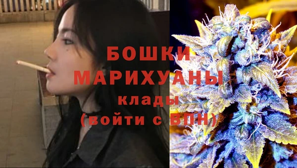 ГАЛЛЮЦИНОГЕННЫЕ ГРИБЫ Абаза