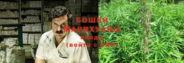 ГАЛЛЮЦИНОГЕННЫЕ ГРИБЫ Абаза
