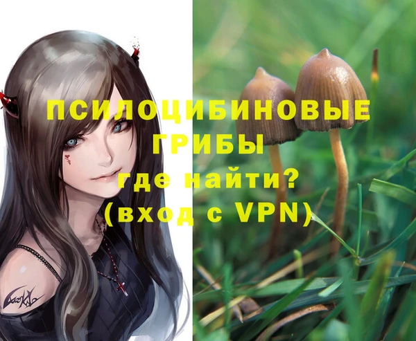 ГАЛЛЮЦИНОГЕННЫЕ ГРИБЫ Абаза