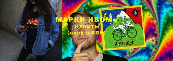 индика Карталы
