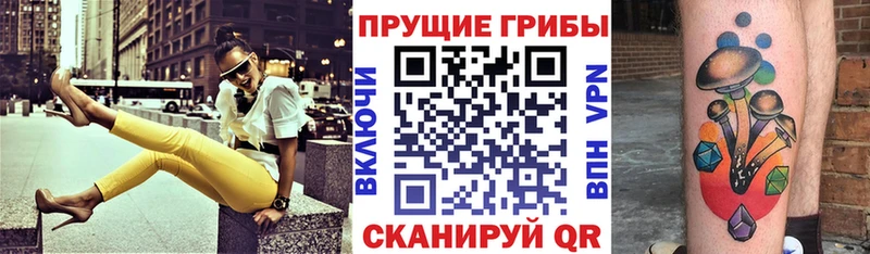Галлюциногенные грибы Psilocybine cubensis  blacksprut вход  Фокино 